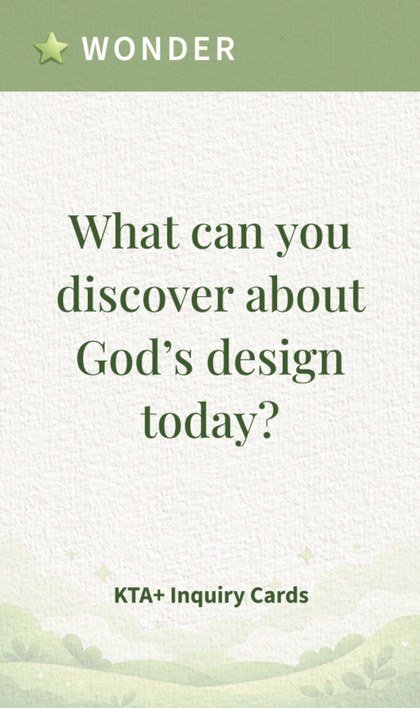 Wonder card: What can you discover about God’s design today?